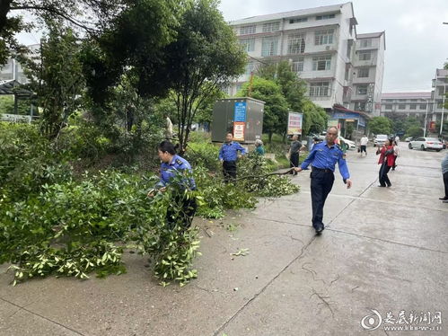 剪除隱患送清涼，修出社區新風貌——婁底市城管執法支隊住建大隊黨支部主題黨日側記