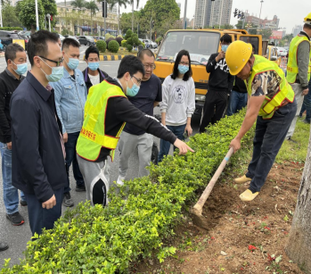 廣州花都 開展“樹醫生”土壤改良工作 推進城市園林綠化養護管理