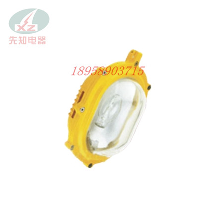 大量供應(yīng)德州市XZ-BFC8120廠用防爆護(hù)欄燈 70/150W高效安全照明解決方案